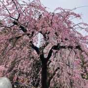 ヒメ日記 2025/03/25 17:47 投稿 レナ 蜜系アロマ＆回春エステ～エナジー～Energy