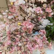 ヒメ日記 2026/03/17 17:30 投稿 レナ 蜜系アロマ＆回春エステ～エナジー～Energy