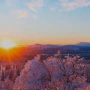 ヒメ日記 2024/12/11 20:52 投稿 睦月結衣 五十路マダム　広島店