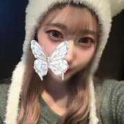 ヒメ日記 2024/12/27 12:26 投稿 りせ Gossip girl