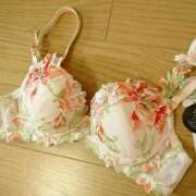 ヒメ日記 2025/05/05 14:33 投稿 桜　なつみ エアポート