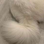 ヒメ日記 2025/03/28 14:20 投稿 加藤 純　☆美巨乳サービス◎ エアポート