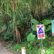 ヒメ日記 2025/06/26 14:00 投稿 加藤 純　☆美巨乳サービス◎ エアポート