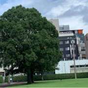 ヒメ日記 2025/09/29 17:18 投稿 加藤 純　☆美巨乳サービス◎ エアポート