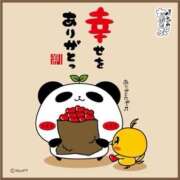 ヒメ日記 2026/01/30 12:57 投稿 加藤 純　☆美巨乳サービス◎ エアポート