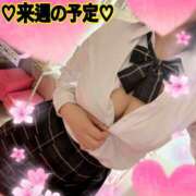 ヒメ日記 2026/04/03 09:59 投稿 加藤 純　☆美巨乳サービス◎ エアポート