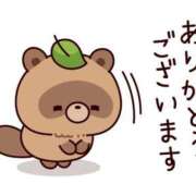 ヒメ日記 2025/02/18 12:22 投稿 はや エアポート