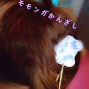 ヒメ日記 2025/03/28 15:20 投稿 はや エアポート