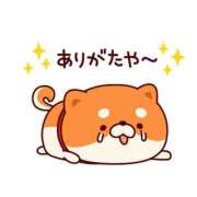 ヒメ日記 2025/06/01 02:48 投稿 はや エアポート