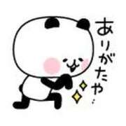 ヒメ日記 2025/06/20 02:45 投稿 はや エアポート