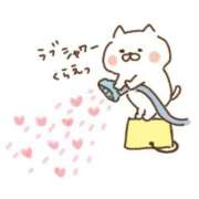 ヒメ日記 2025/07/06 12:22 投稿 はや エアポート