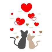 ヒメ日記 2025/07/11 18:01 投稿 はや エアポート