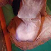 ヒメ日記 2026/01/26 16:28 投稿 はや エアポート