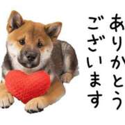 ヒメ日記 2026/01/30 12:10 投稿 はや エアポート