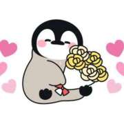 ヒメ日記 2026/02/24 15:44 投稿 はや エアポート