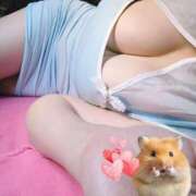 ヒメ日記 2026/04/06 16:21 投稿 はや エアポート