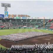 ヒメ日記 2025/03/18 14:14 投稿 夢乃 エアポート