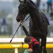 ヒメ日記 2025/03/28 10:15 投稿 夢乃 エアポート