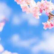 ヒメ日記 2025/03/28 16:30 投稿 夢乃 エアポート