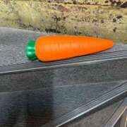 ヒメ日記 2025/01/08 10:39 投稿 さぁや エアポート