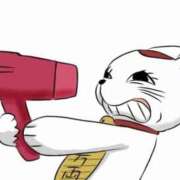 ヒメ日記 2025/03/04 06:57 投稿 吉沢 れもん エアポート