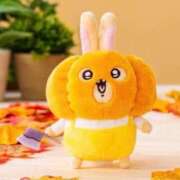 ヒメ日記 2025/04/23 08:46 投稿 吉沢 れもん エアポート