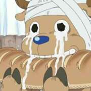 ヒメ日記 2025/06/05 08:41 投稿 吉沢 れもん エアポート