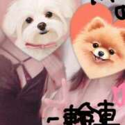 ヒメ日記 2025/06/20 08:20 投稿 吉沢 れもん エアポート