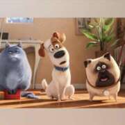 ヒメ日記 2025/09/10 07:46 投稿 吉沢 れもん エアポート