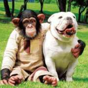 ヒメ日記 2025/11/20 09:07 投稿 吉沢 れもん エアポート