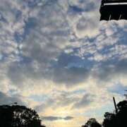 ヒメ日記 2025/11/21 00:52 投稿 吉沢 れもん エアポート