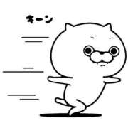 ヒメ日記 2025/12/28 08:49 投稿 吉沢 れもん エアポート