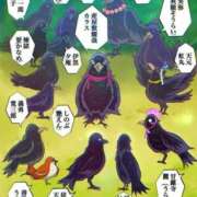 ヒメ日記 2026/02/08 12:00 投稿 吉沢 れもん エアポート