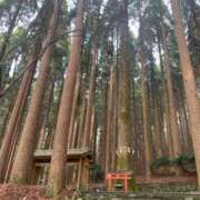 ヒメ日記 2025/01/07 18:52 投稿 真美 エアポート