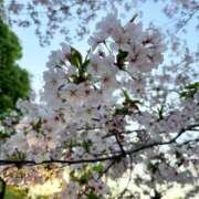 ヒメ日記 2025/05/08 09:46 投稿 真美 エアポート