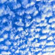 ヒメ日記 2025/07/20 09:41 投稿 真美 エアポート