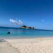 ヒメ日記 2025/07/24 07:12 投稿 真美 エアポート