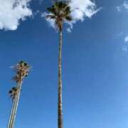 ヒメ日記 2025/07/27 08:45 投稿 真美 エアポート