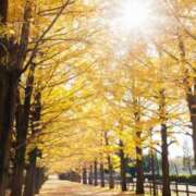 真美 こんばんは🍂 エアポート