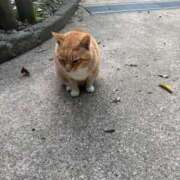 真美 こんばんは🌛 エアポート