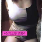 ヒメ日記 2025/10/10 07:01 投稿 杉本 香織 エアポート