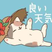 ヒメ日記 2025/10/10 13:11 投稿 杉本 香織 エアポート