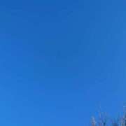 ヒメ日記 2025/10/12 08:50 投稿 杉本 香織 エアポート