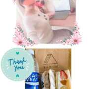 ヒメ日記 2025/02/26 15:17 投稿 しおん 佐久上田人妻隊