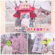 ヒメ日記 2025/04/17 09:56 投稿 しおん 佐久上田人妻隊