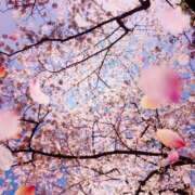 ヒメ日記 2026/04/09 10:36 投稿 しおん 佐久上田人妻隊