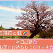 ヒメ日記 2026/04/13 08:44 投稿 しおん 佐久上田人妻隊