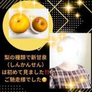 ヒメ日記 2026/09/19 13:42 投稿 しおん 佐久上田人妻隊