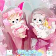 ヒメ日記 2024/12/16 09:10 投稿 ひかり エアポート