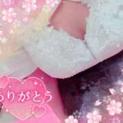 ヒメ日記 2025/02/27 19:59 投稿 ひかり エアポート